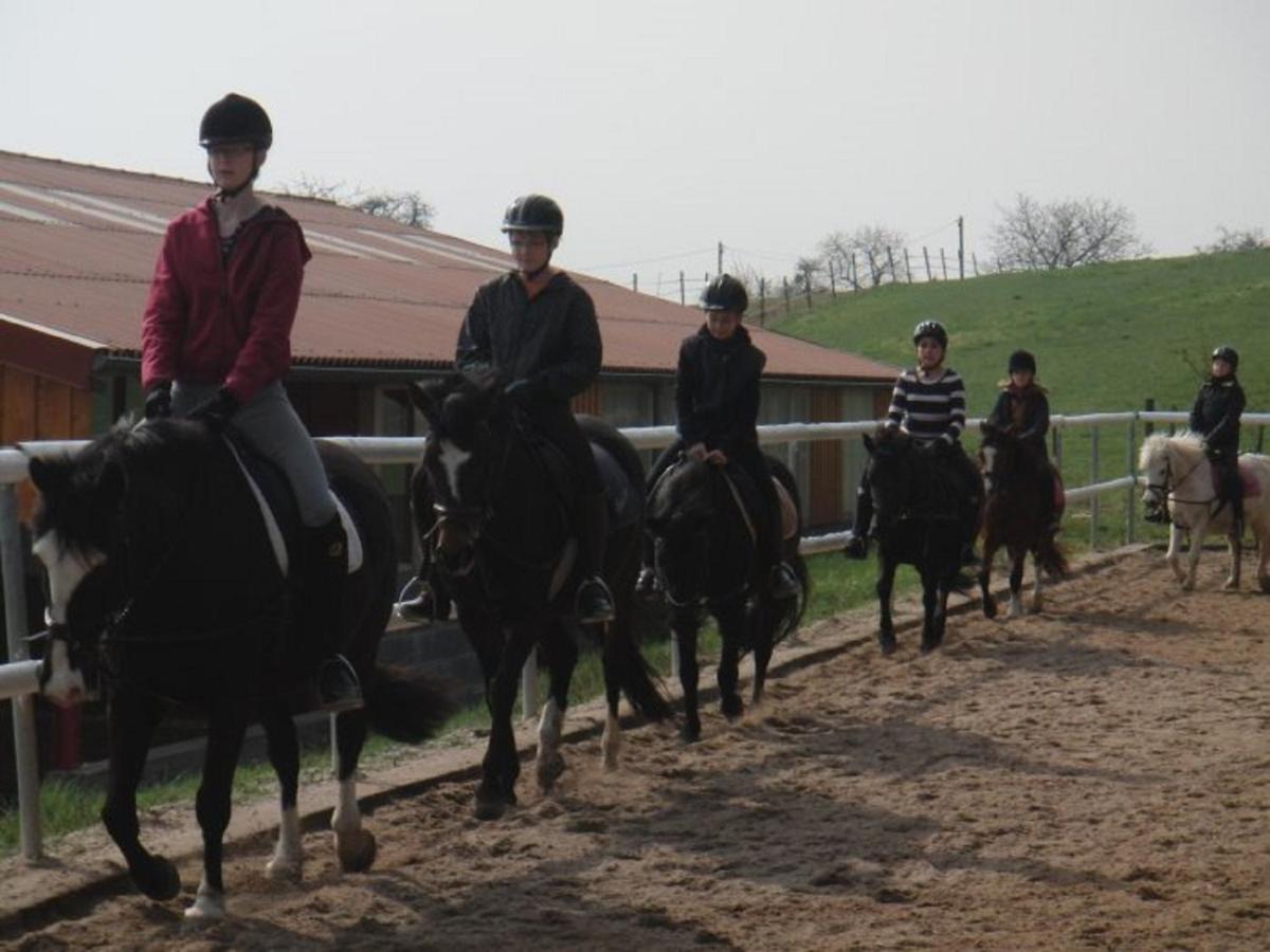 Ferienhof Pfeiffer 부헨 외부 사진